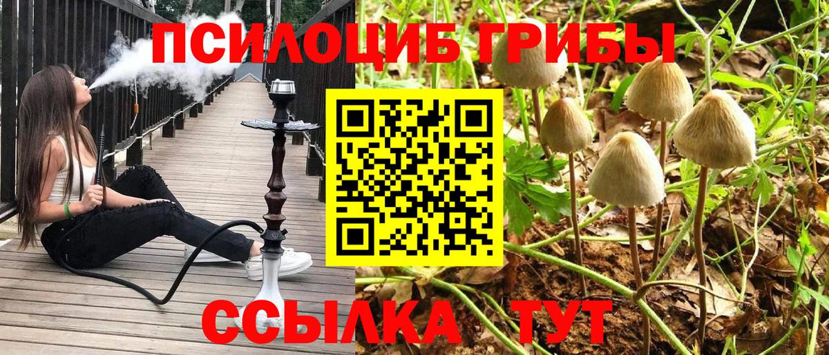 купить  цена  Вход с VPN  Минеральные Воды  Галлюциногенные грибы MAGIC MUSHROOMS 